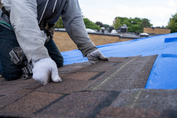 Quick and Trustworthy Emergency Roof Repair Services in Texas City, TX