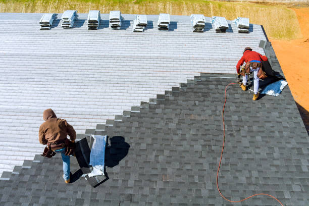 Best Storm Damage Roof Repair  in Texas City, TX